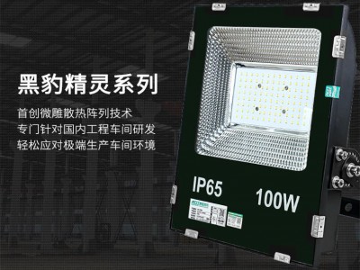 泛光燈、LED泛光燈，泛光燈250瓦